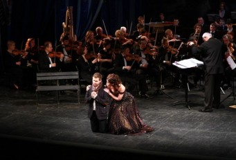 Фиалка Монмартра